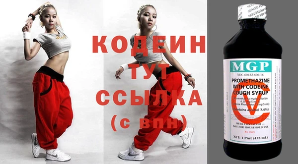 твердый Краснослободск