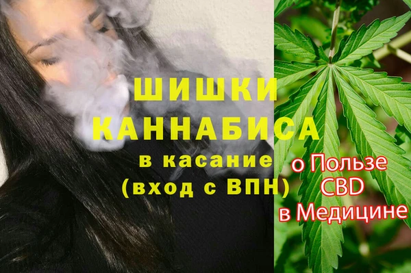 твердый Краснослободск