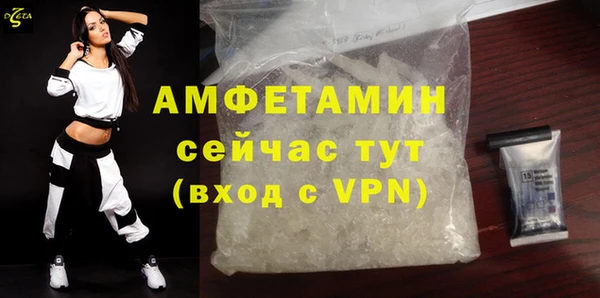 твердый Краснослободск
