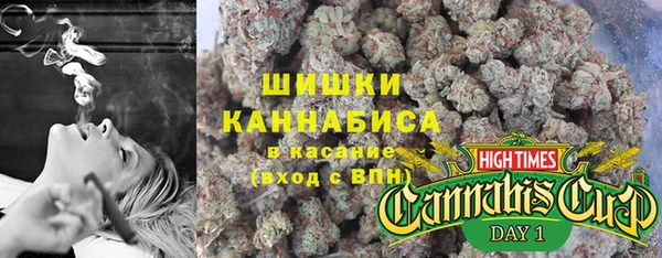 твердый Краснослободск
