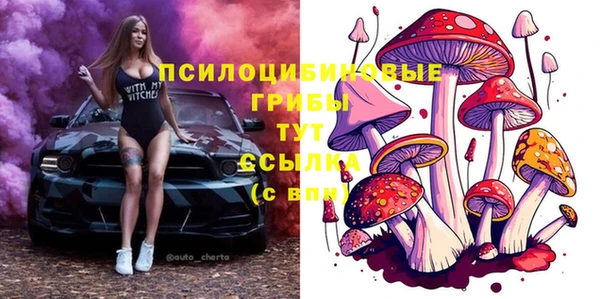 твердый Краснослободск