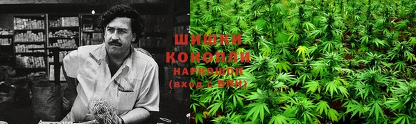 твердый Краснослободск